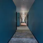 Numa Vogelweider 잘츠부르크